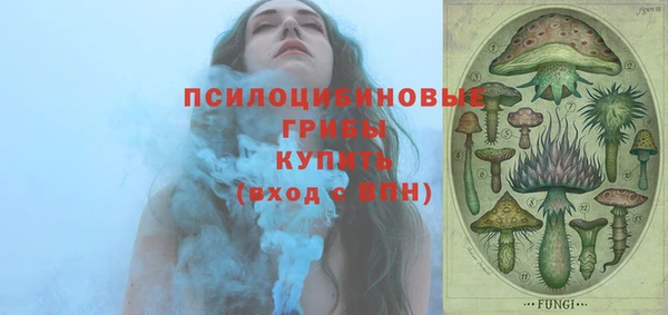 2c-b Медвежьегорск