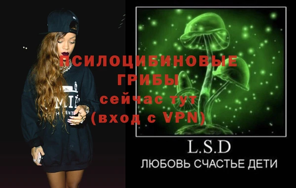 2c-b Медвежьегорск