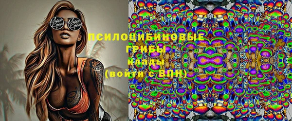 герыч Мегион