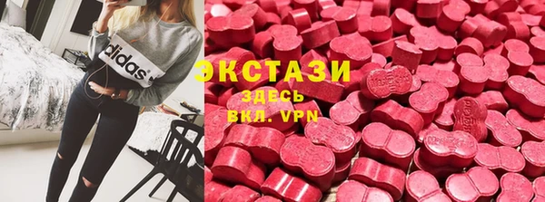 крисы Нижний Тагил