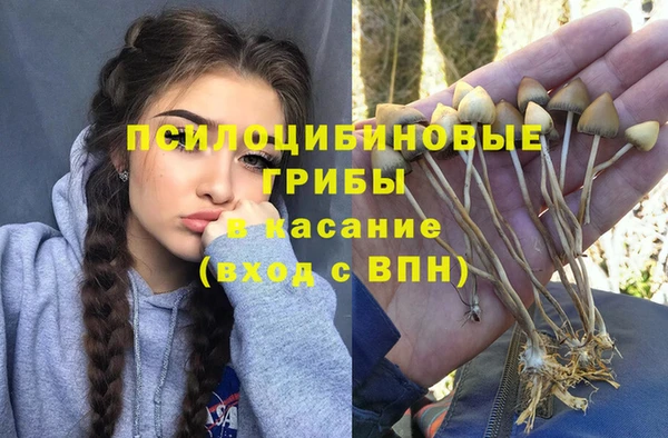 герыч Мегион
