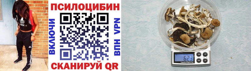 Псилоцибиновые грибы Psilocybe  наркошоп  Дубовка 